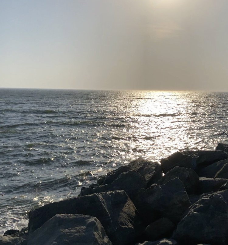 Motel Bienvenue主图