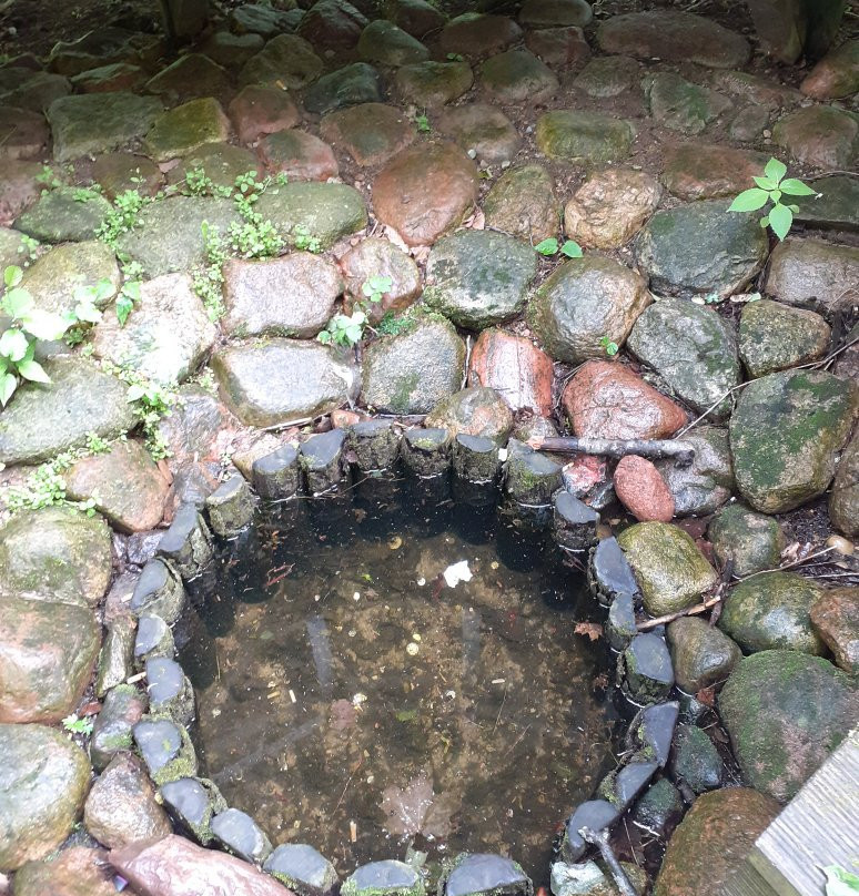 Park Kulturowy Korycin - Milewszczyzna景点图片