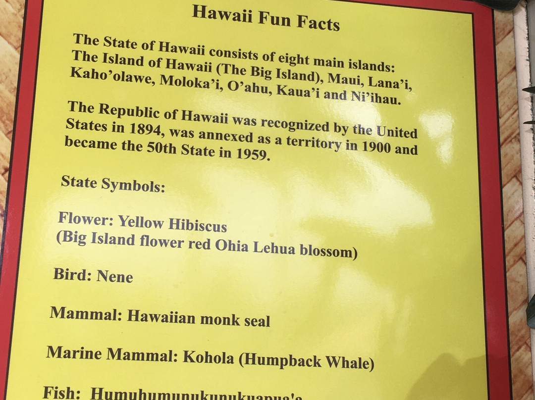 Ackerman Galleries-卡帕奥必去景点