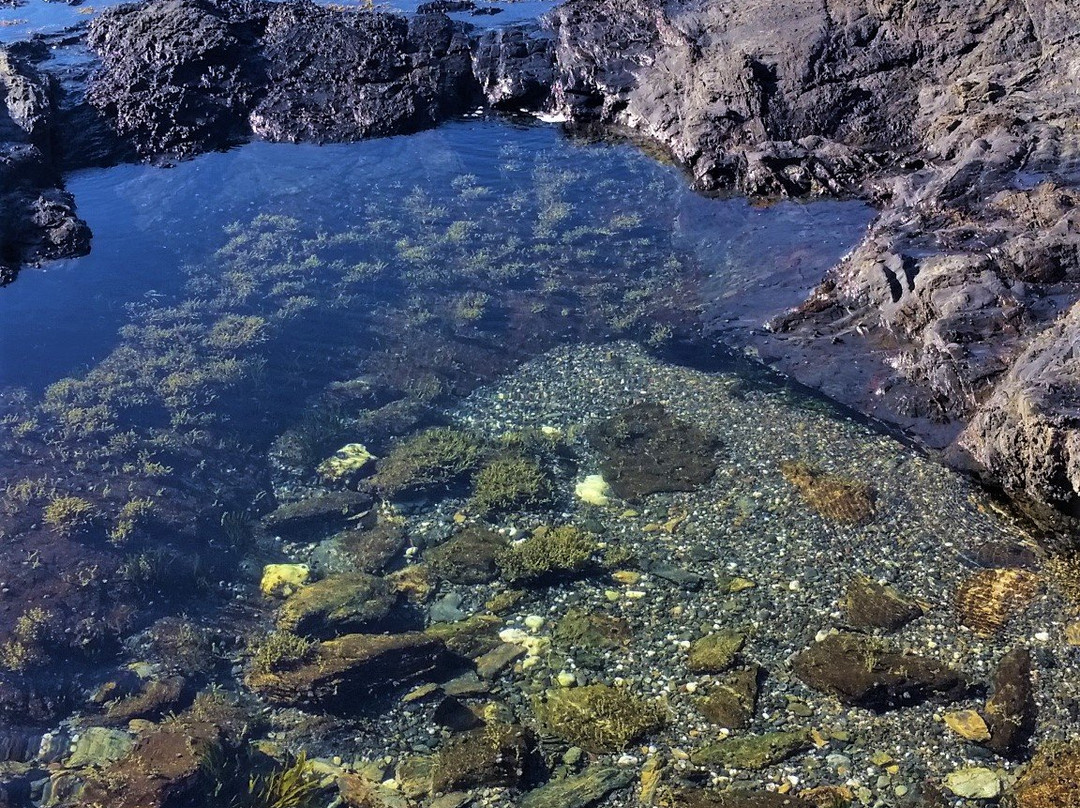 Malua Bay Beach景点图片