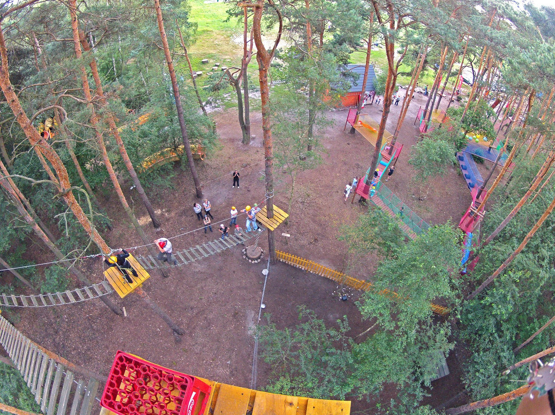Park Linowy景点图片