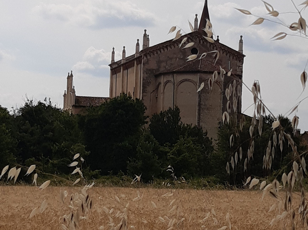 Santuario della Madonna dei Miracoli di Lonigo景点图片