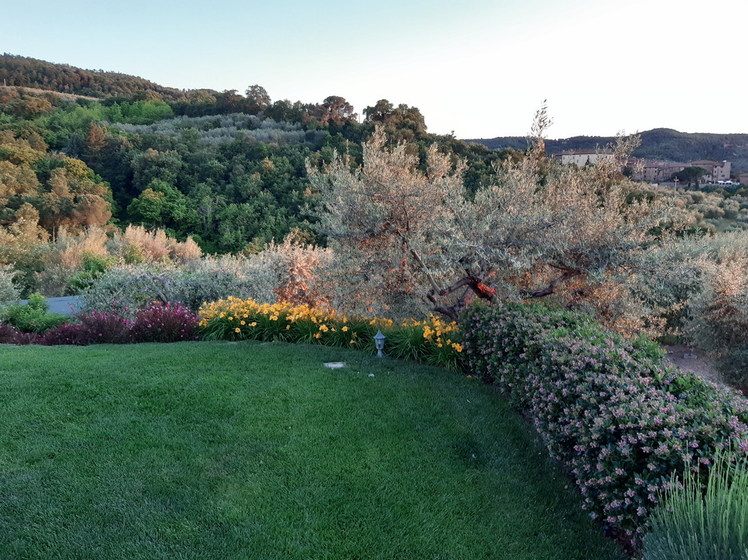 Paciano酒店住宿-Il Galletto di Marzo