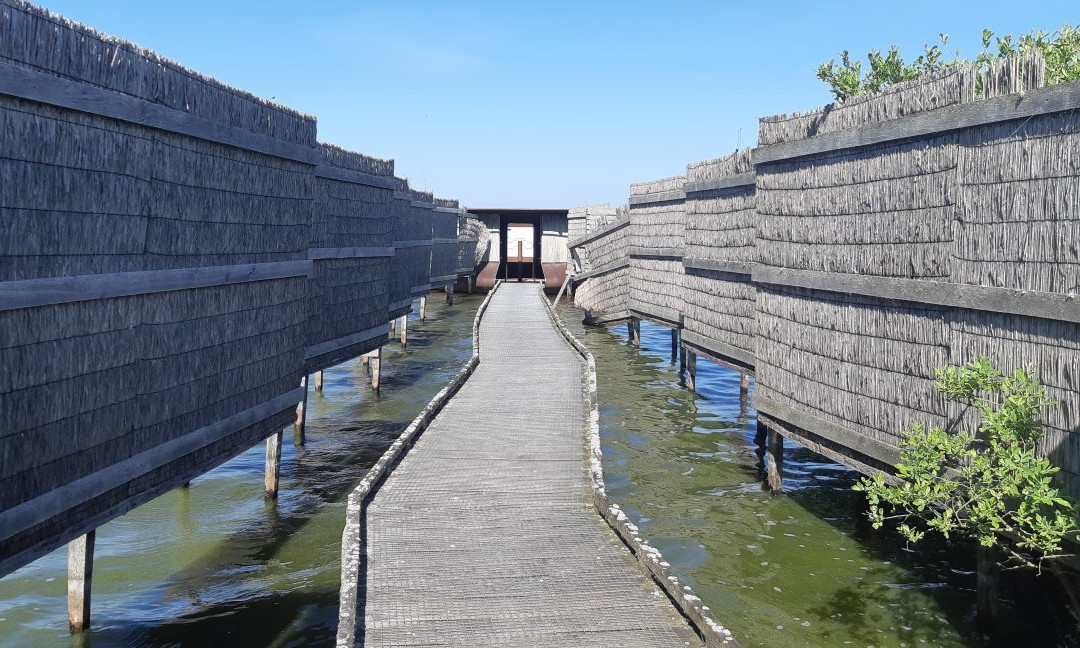 Natuurgebied Zwanenwater景点图片