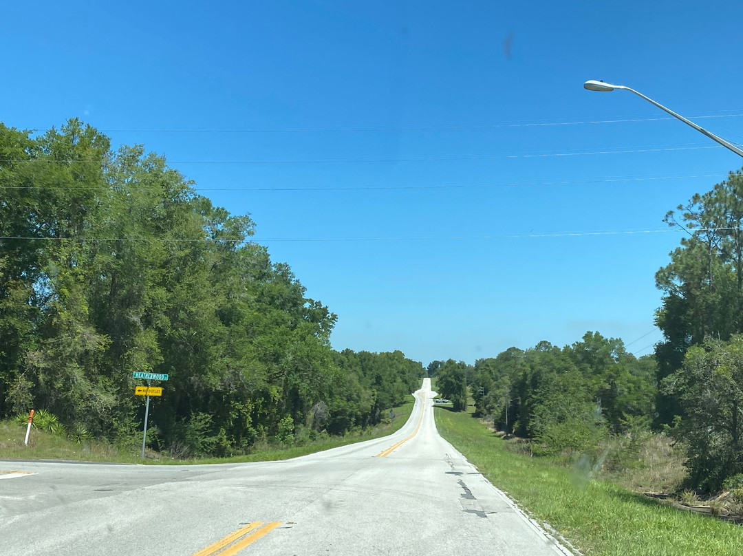 Florida Best Blueberry Farm-因弗内斯必去景点