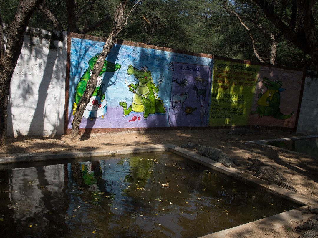 Crocodile Rehabilitation Centre景点图片