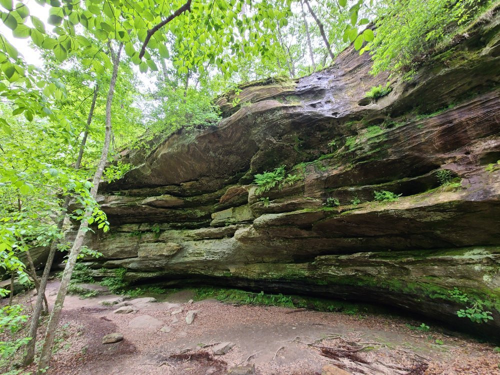 Pickle Springs Natural Area景点图片