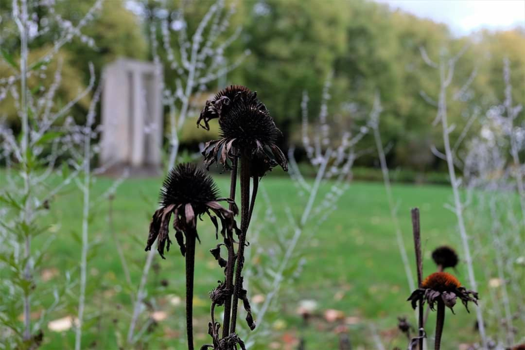 Kurpark-Helmstedt必去景点