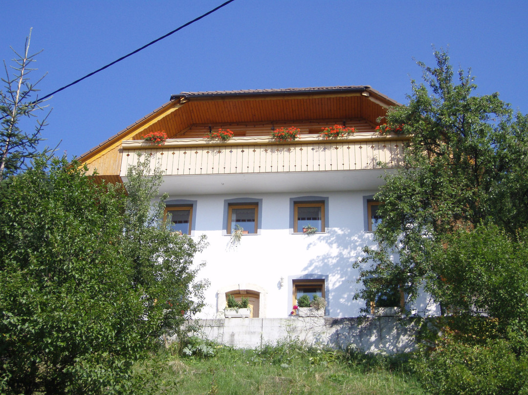 Apartments Gornik