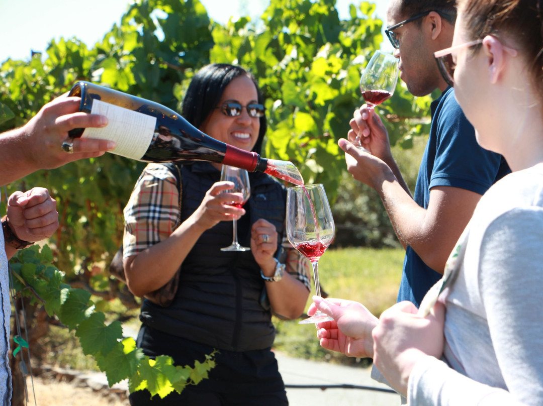 Nicholson Ranch-索诺玛必去景点