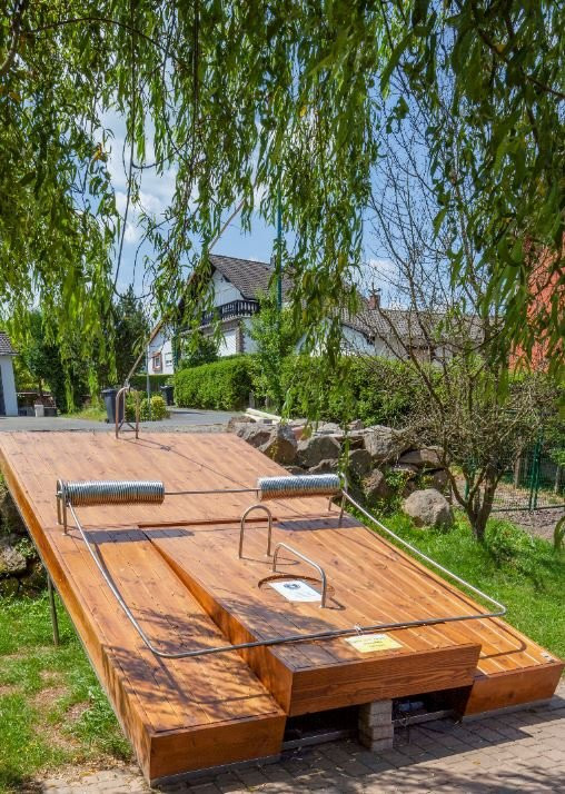 Am Eifelsteig Spa & Wellness Hotel主图