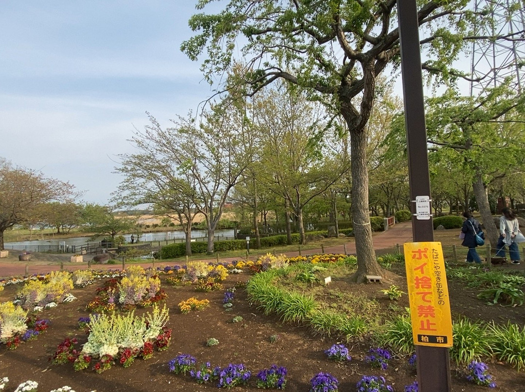 Kitakashiwa Furusato Park-柏市必去景点