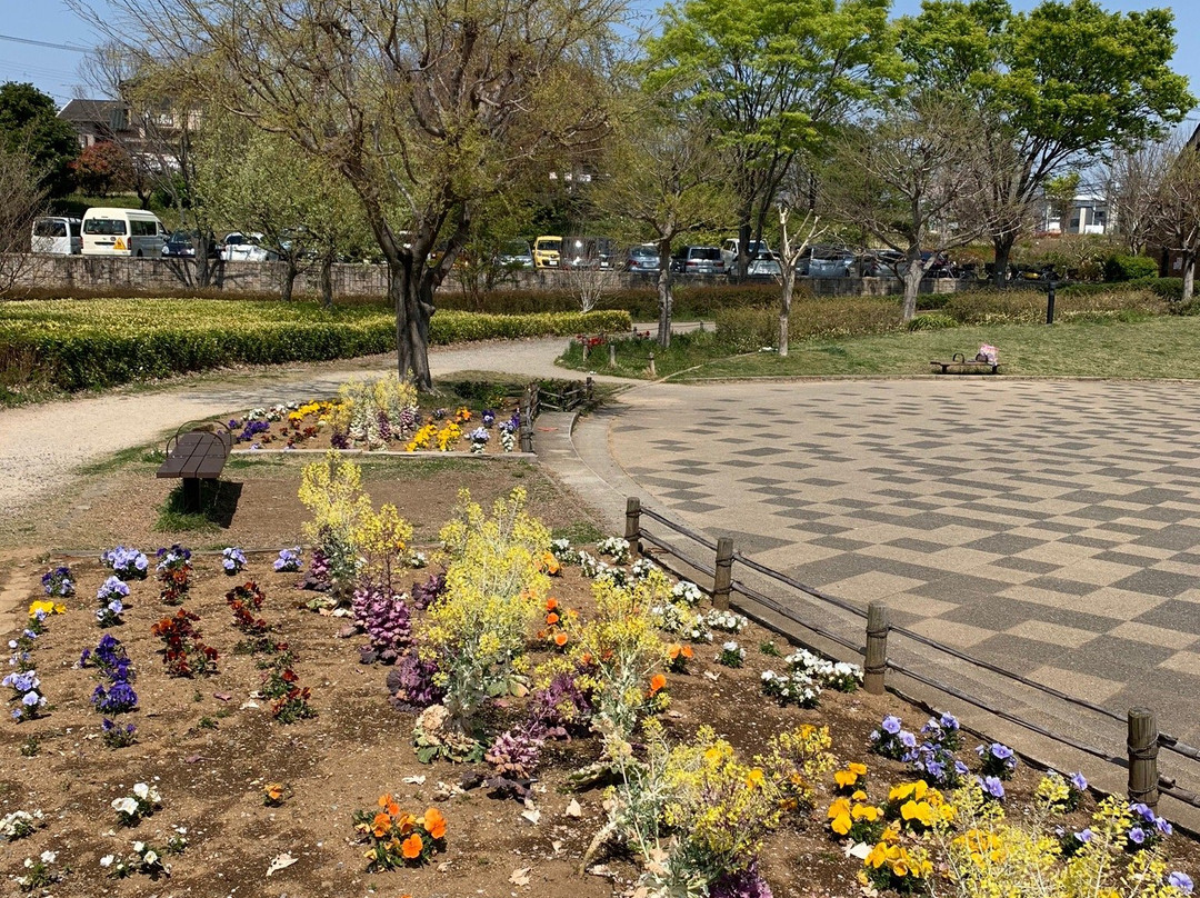 Zama Yatoyama Park-座间市必去景点