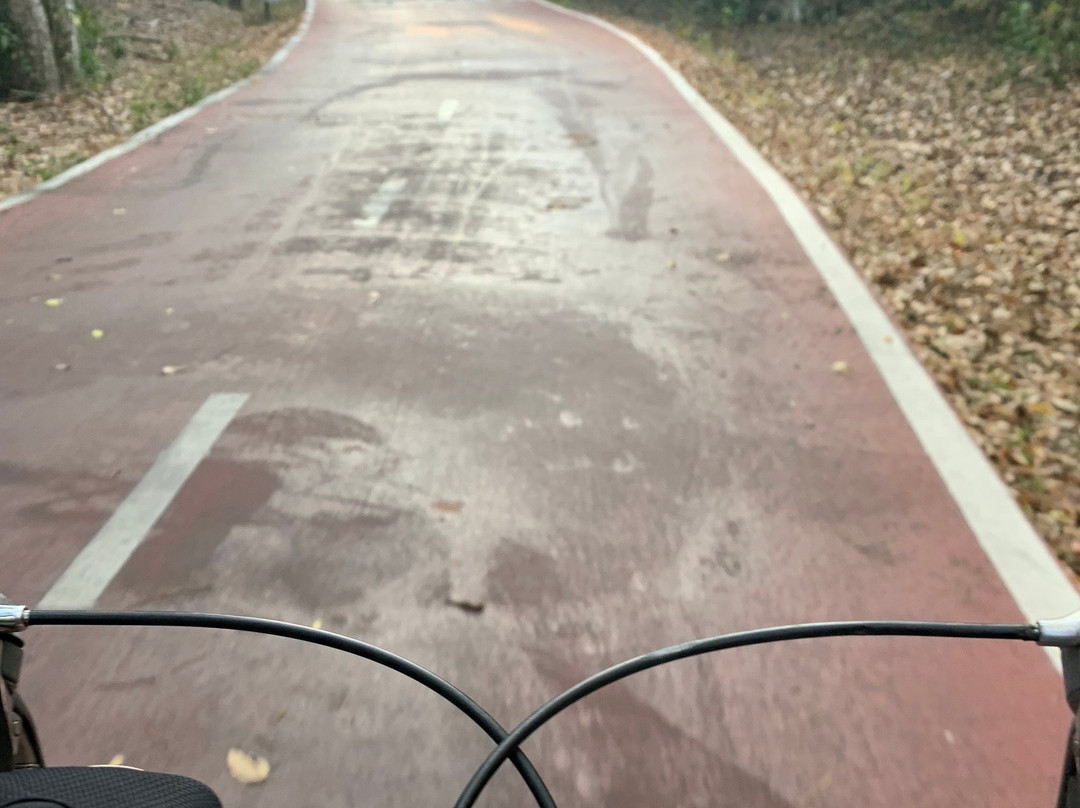 Ciclopista de Ixtapa景点图片
