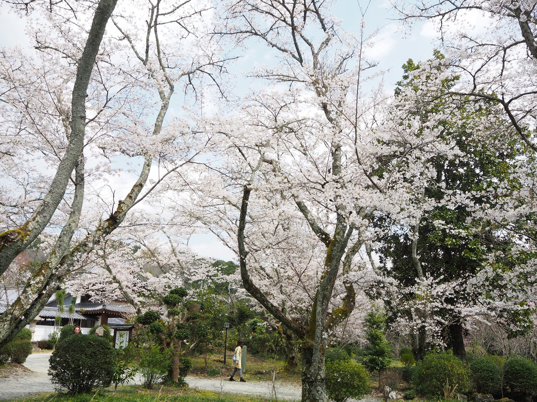 Ryujusansesonji Temple-大淀町必去景点