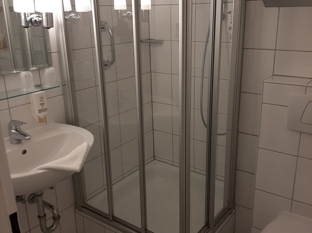 希彻勒阿尔特酒店主图