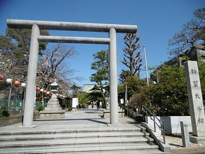 Sakura Shrine景点图片