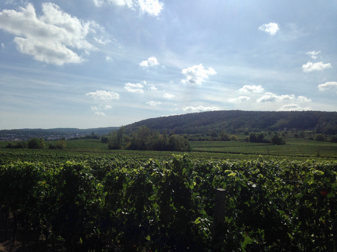 Weingut Zumstein-巴特迪克海姆必去景点