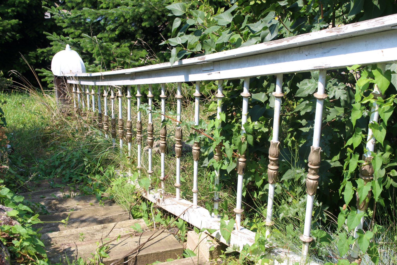 克莱恩荷兰酒店-官方