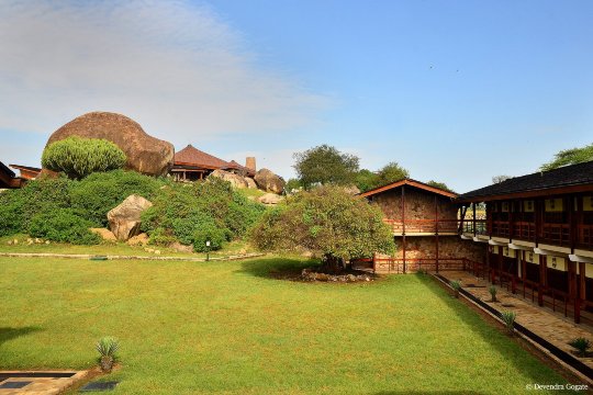 瑟洛尼拉野生旅馆-浴室