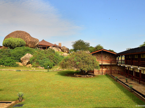 瑟洛尼拉野生旅馆主图