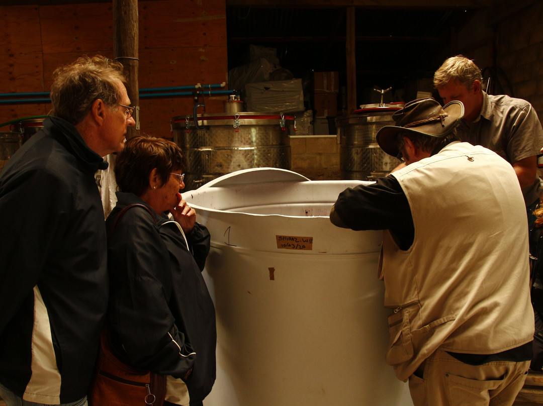 Golden Lion Adventures-Sedgefield必去景点