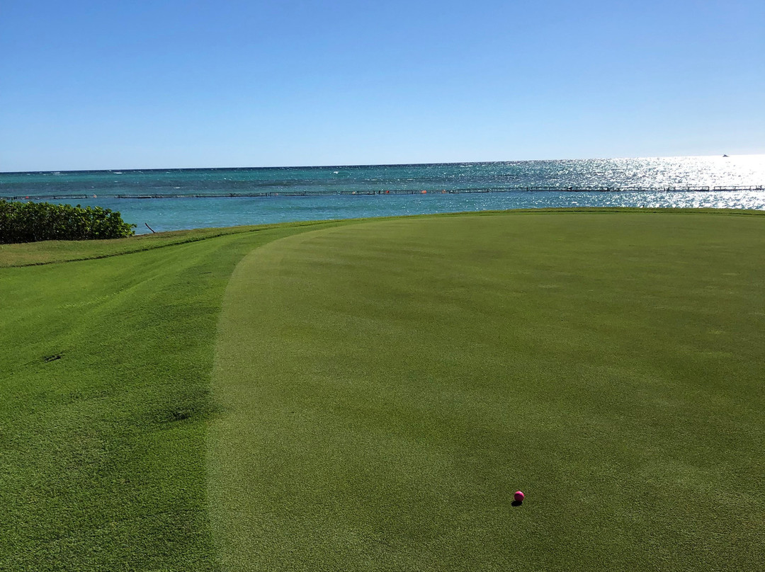 La Cana Golf Course景点图片