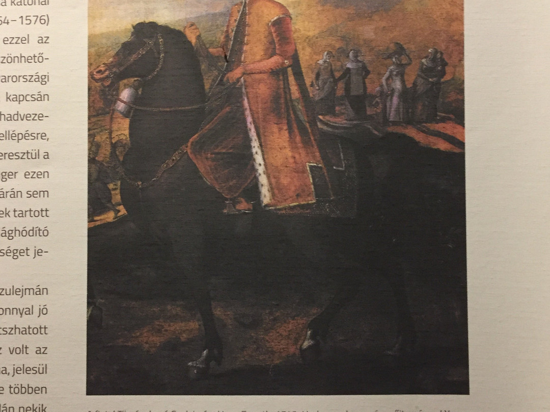 Zrinyi Castle景点图片