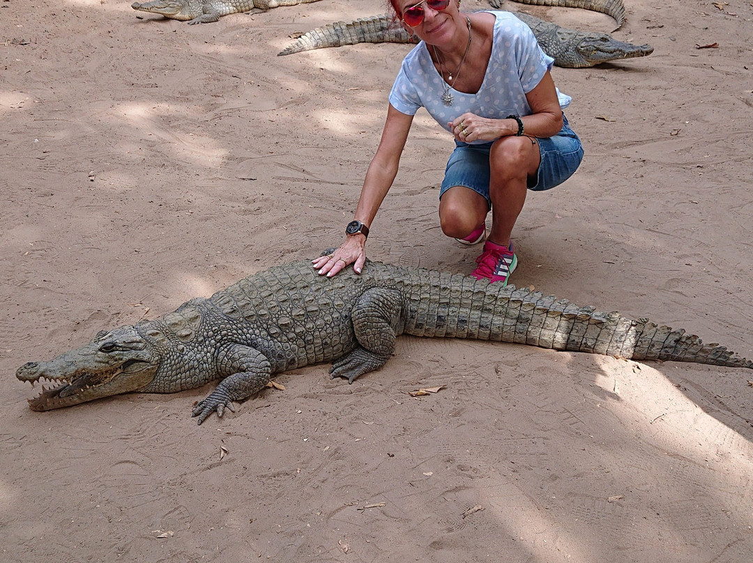 Kachikally Crocodile Pool景点图片