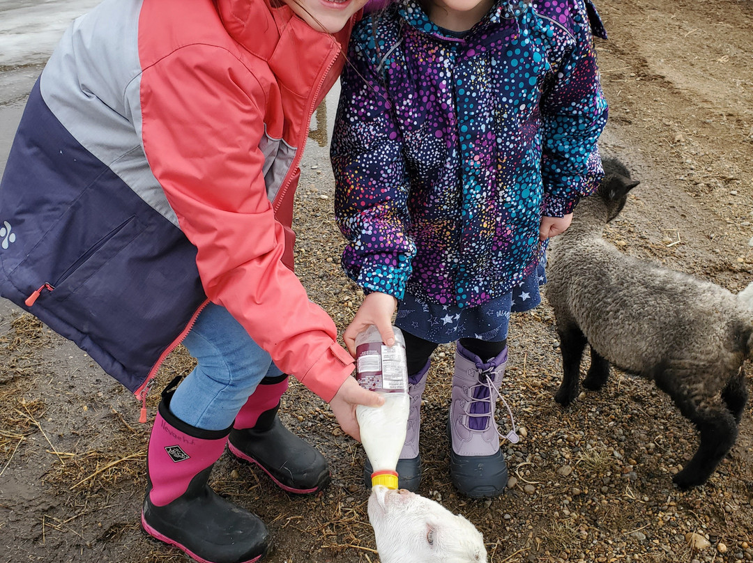 White Barn Fun Farm-布鲁克斯必去景点