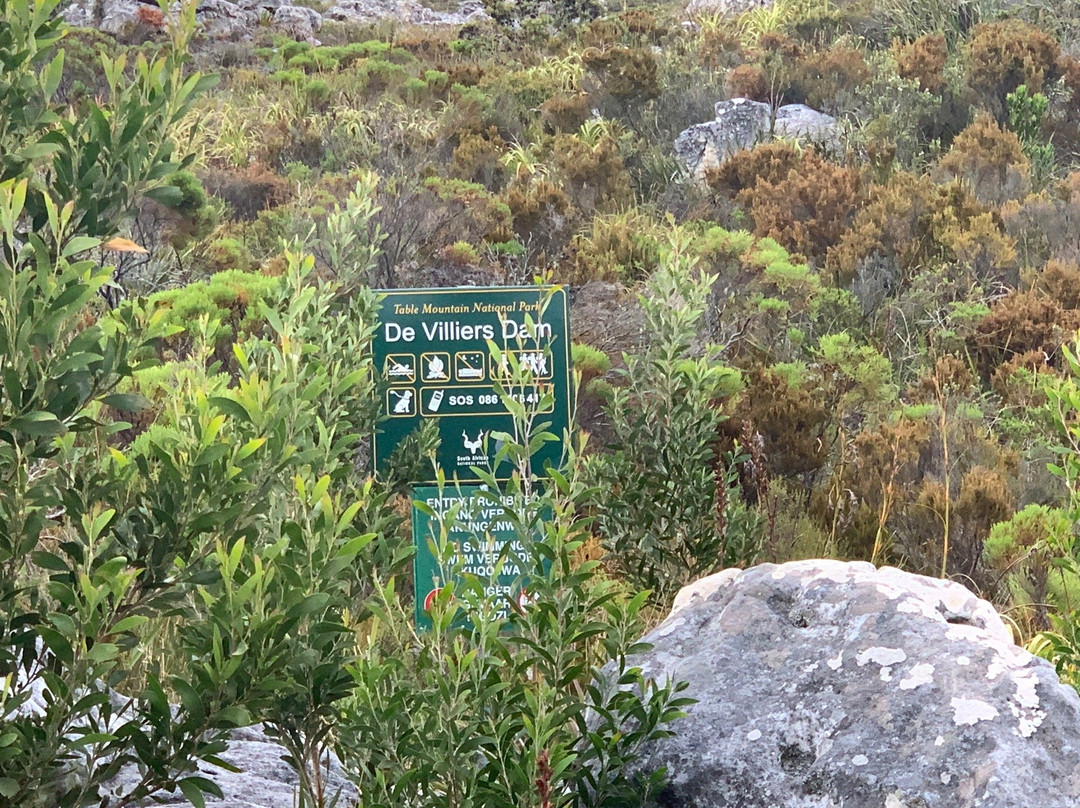 Constantia Nek-Cape Peninsula National Park必去景点