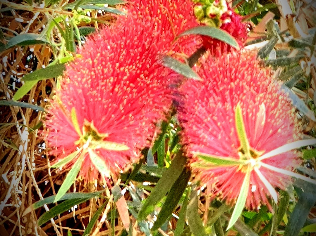 Serenity Beaches Resort主图