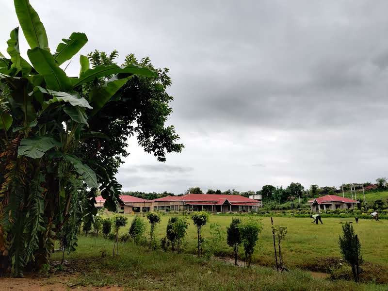 Satpura National Park-中央邦必去景点