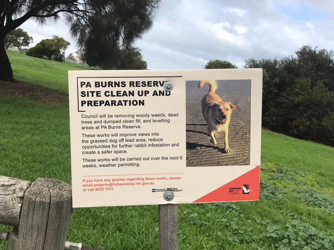 Burns Reserve (Altona Dog Beach)景点图片