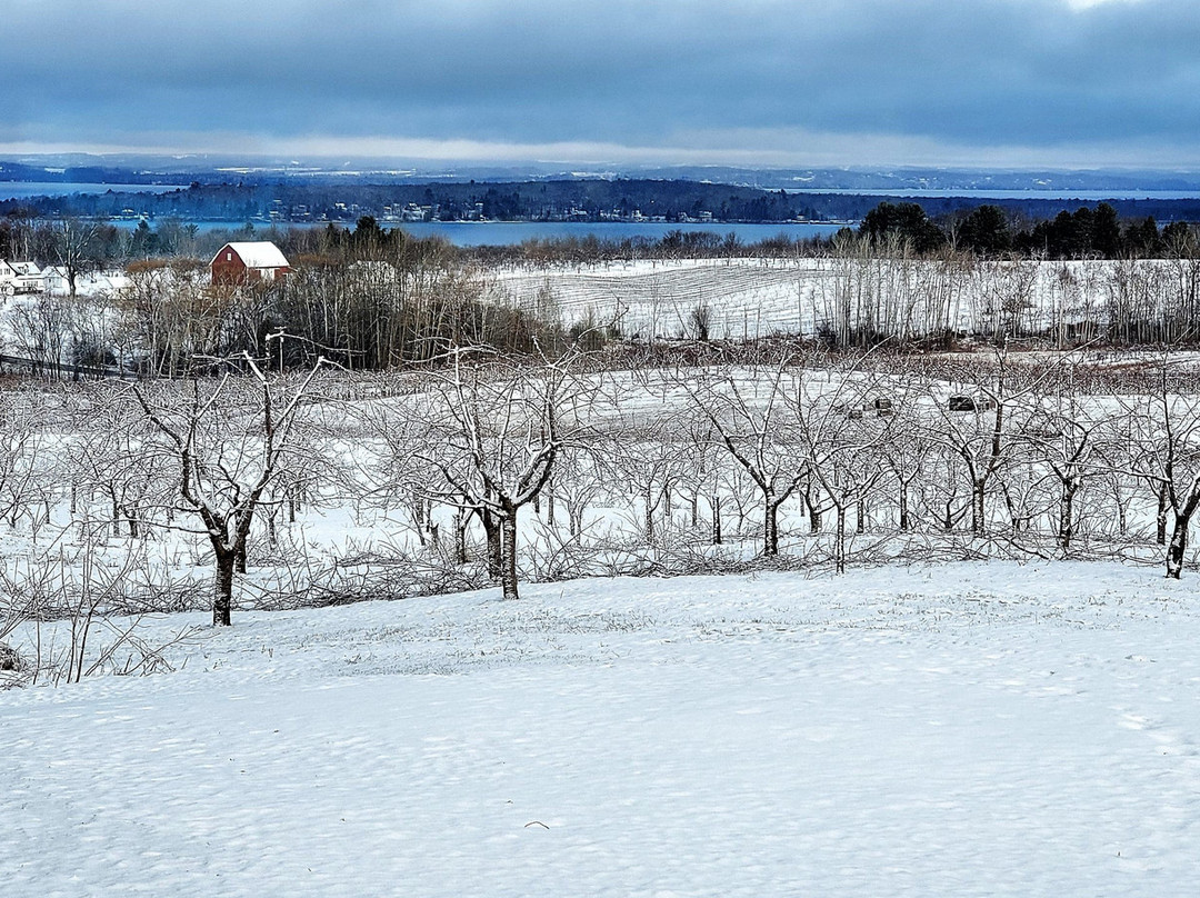 The Inn at Chateau Grand Traverse主图