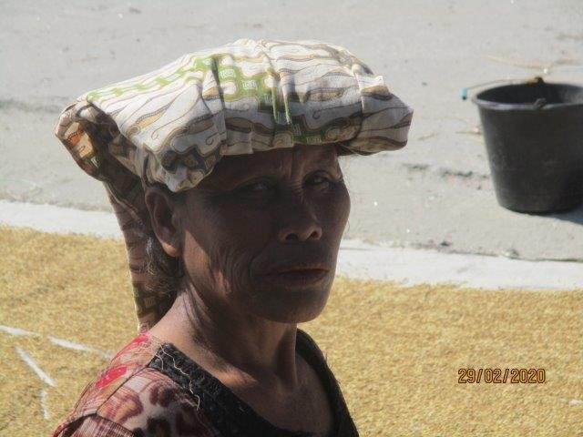 Dokan Batak Village景点图片