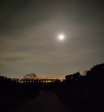 西山国家森林公园-北京市必去景点