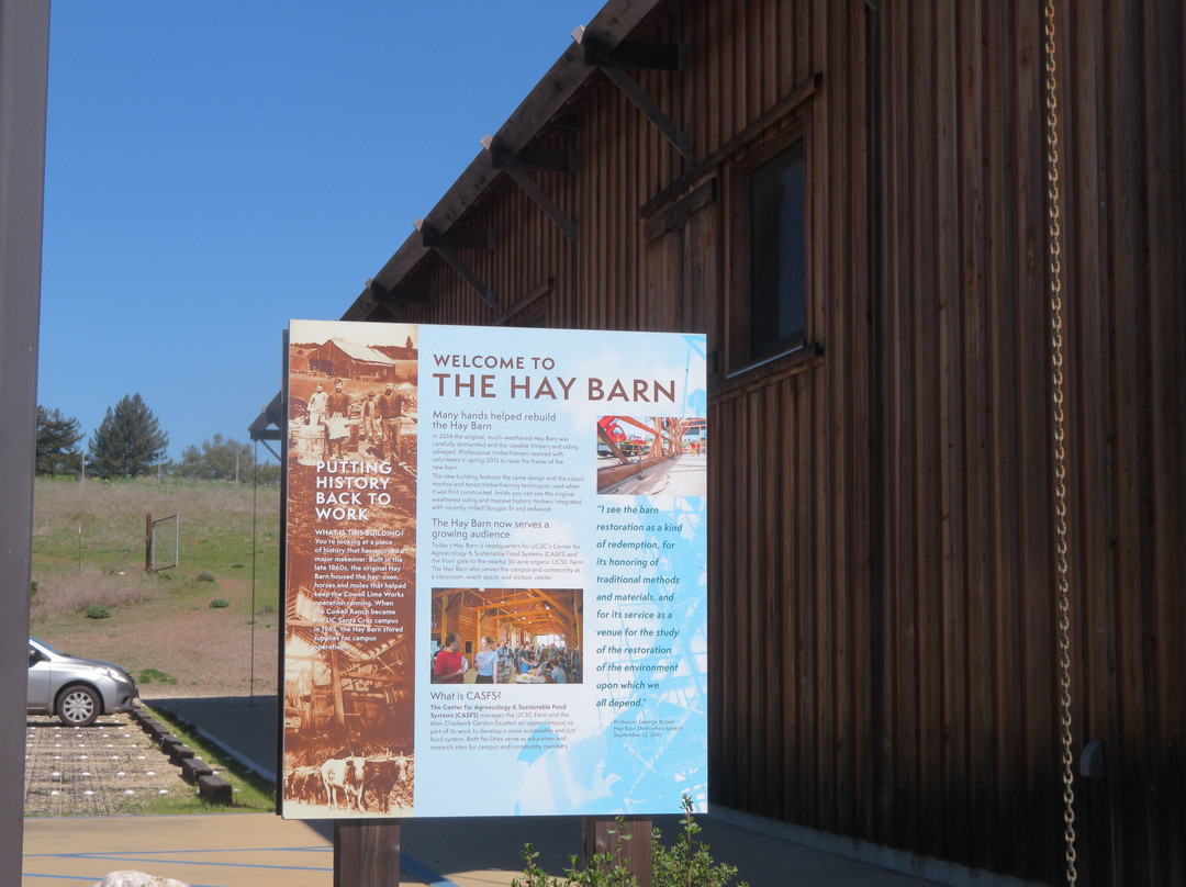 University of California at Santa Cruz-圣克鲁斯必去景点