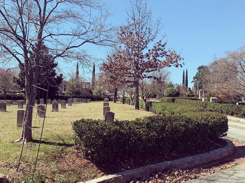 Unexpected Atlanta Tours-亚特兰大必去景点