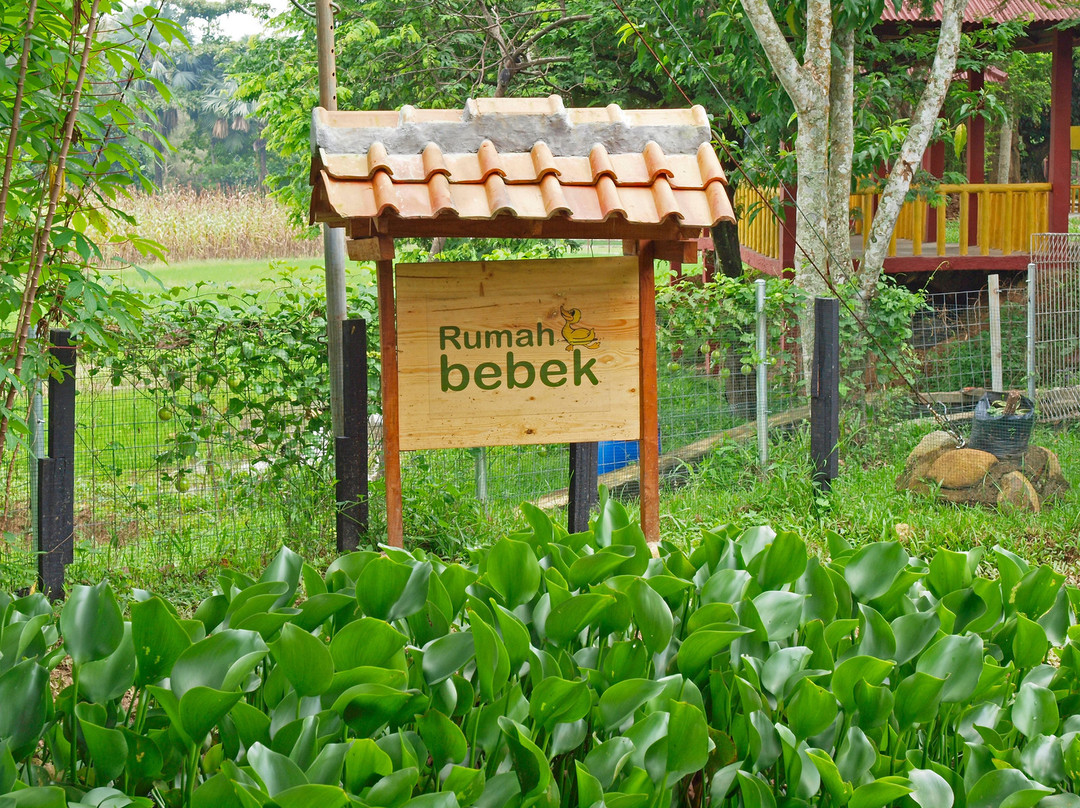 Kebun Wisata Pasirmukti-茂物必去景点