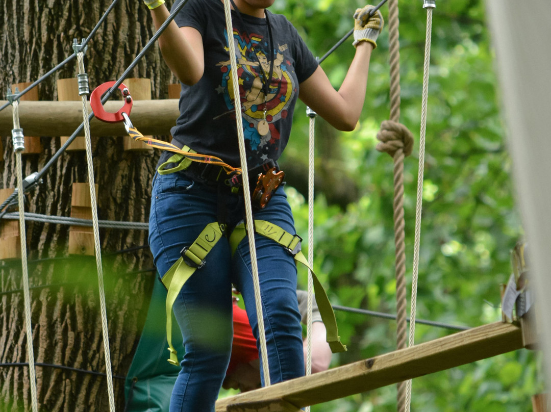 Treetop Quest Greenville-格林维尔必去景点