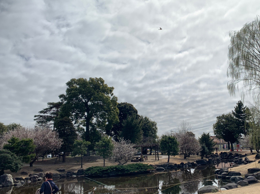 Isesaki Shimin no Mori Park-伊势崎市必去景点