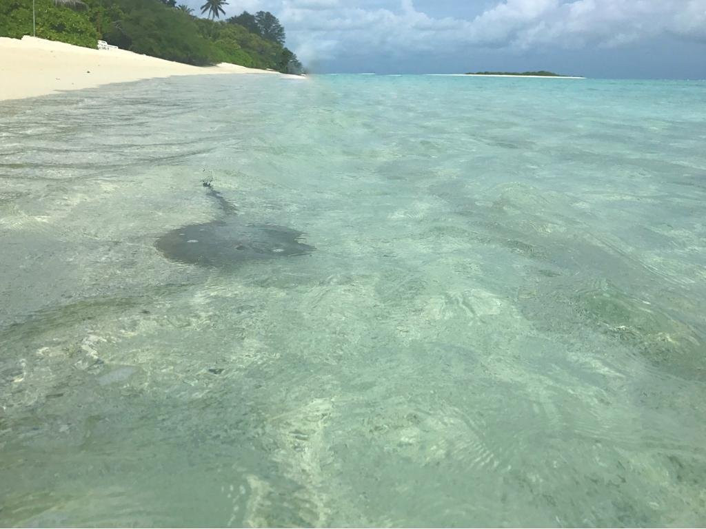 Arivilla Seaview主图