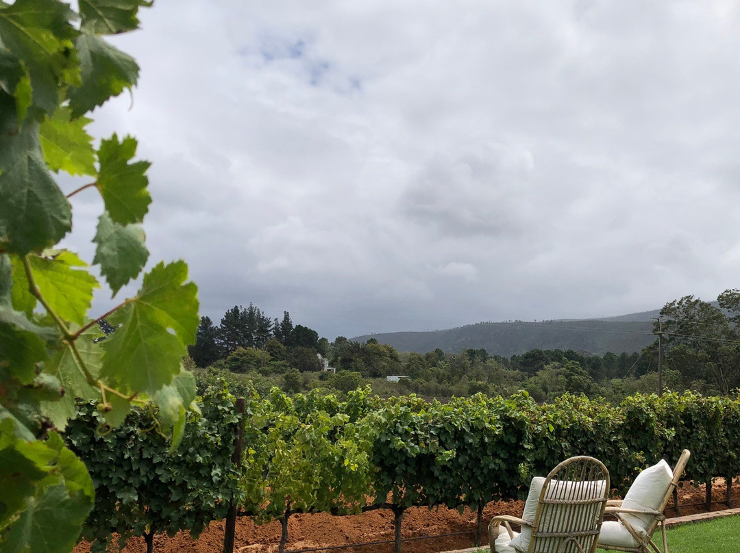 Newstead Wines Restaurant-普利登堡湾必去景点