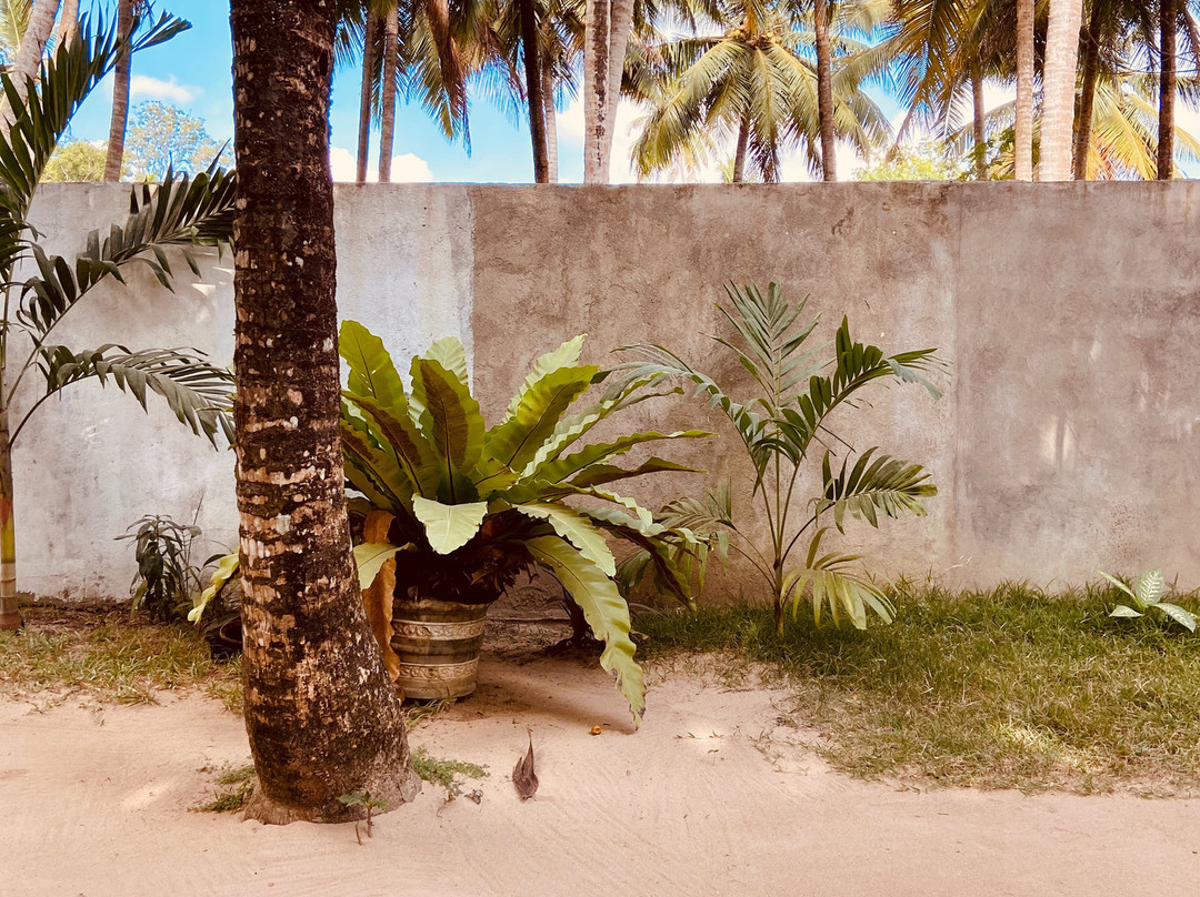 Midigama Holiday Inn主图