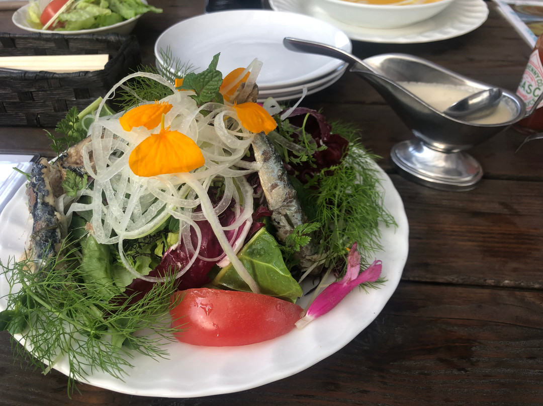 99 Stars Herb Garden-九十九里町 必去景点