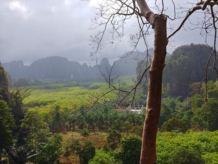 Thai'd Up Adventures景点图片