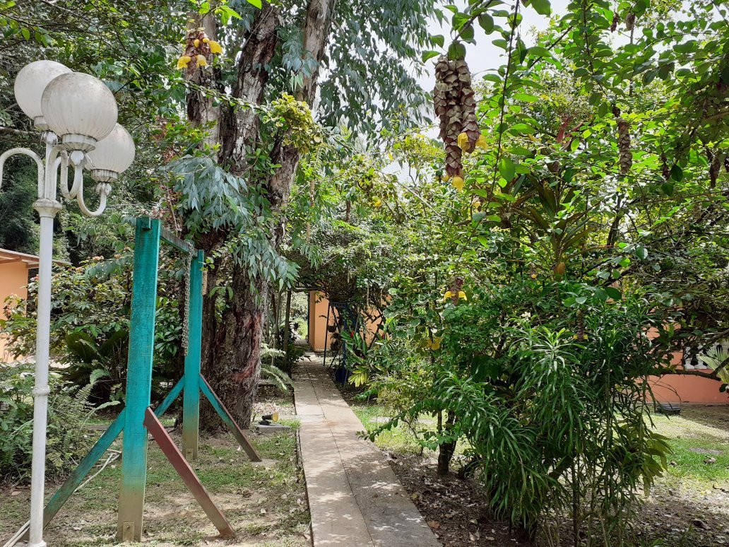 L'Ebène Verte主图