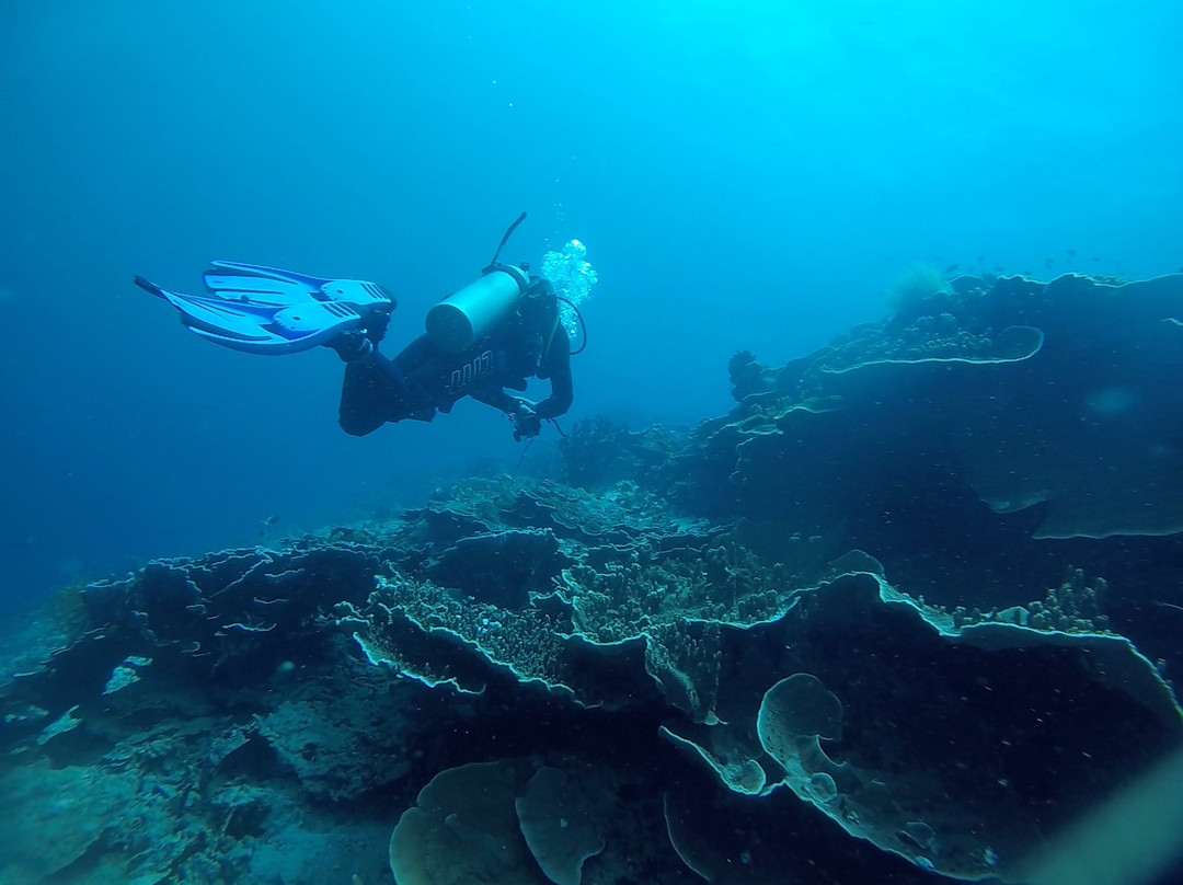 Seaquest Dive Center景点图片