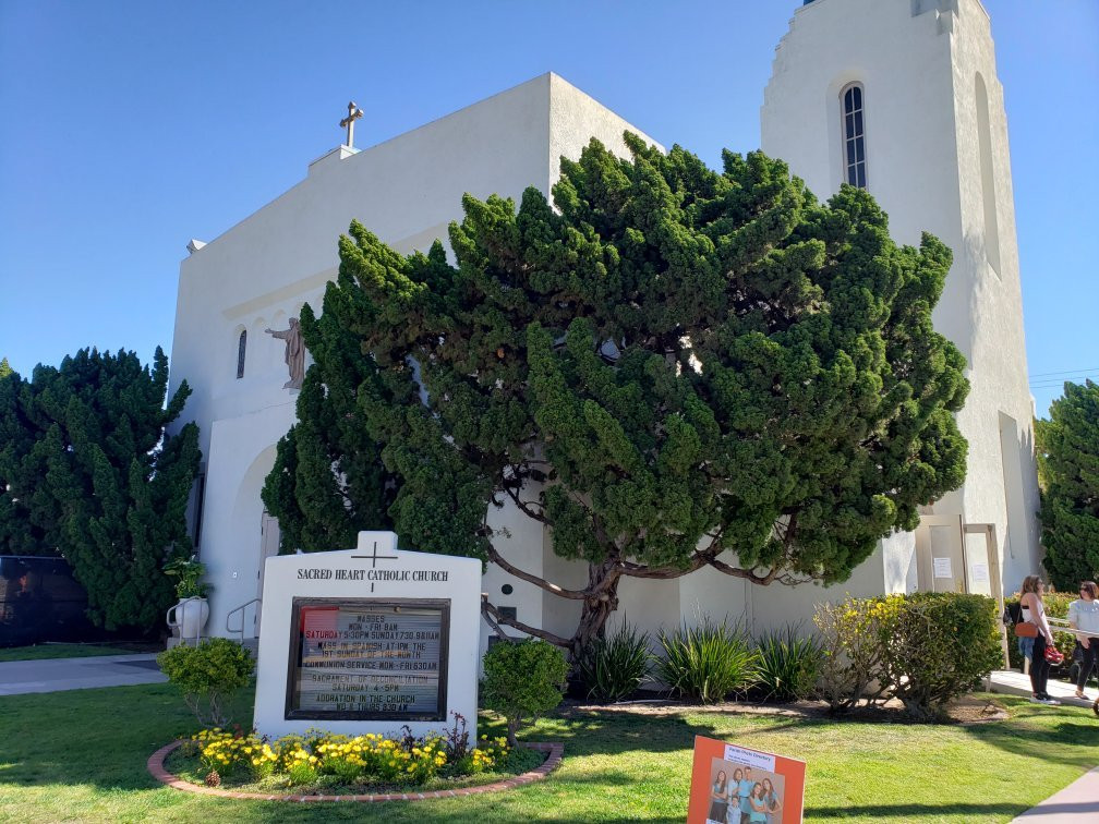 Sacred Heart Catholic Church-坦帕必去景点